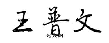 曾慶福王普文行書個性簽名怎么寫