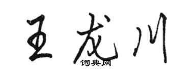 駱恆光王龍川行書個性簽名怎么寫
