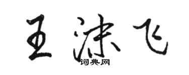 駱恆光王沫飛行書個性簽名怎么寫