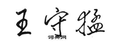 駱恆光王守猛行書個性簽名怎么寫
