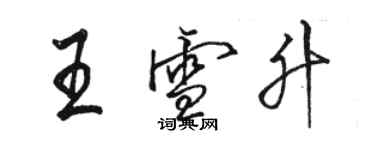 駱恆光王雪升行書個性簽名怎么寫