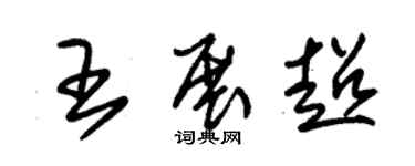 朱錫榮王展超草書個性簽名怎么寫