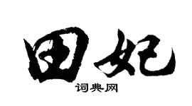 胡問遂田妃行書個性簽名怎么寫