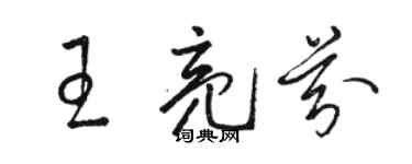 駱恆光王亮芬草書個性簽名怎么寫