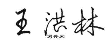 駱恆光王洪林行書個性簽名怎么寫