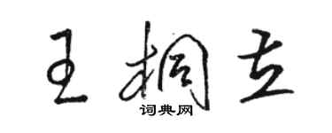 駱恆光王桐立草書個性簽名怎么寫