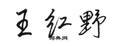駱恆光王紅野行書個性簽名怎么寫