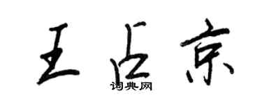 王正良王占京行書個性簽名怎么寫