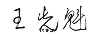 駱恆光王先魁草書個性簽名怎么寫