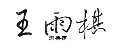駱恆光王雨棋行書個性簽名怎么寫