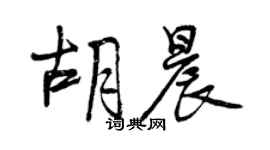 曾慶福胡晨行書個性簽名怎么寫