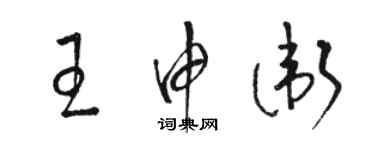 駱恆光王申衛草書個性簽名怎么寫