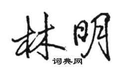 駱恆光林明行書個性簽名怎么寫