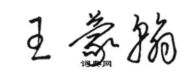 駱恆光王蒙翰草書個性簽名怎么寫