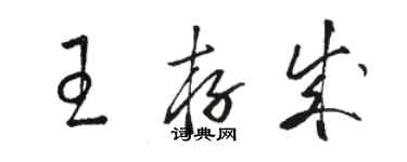 駱恆光王存成草書個性簽名怎么寫