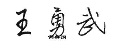 駱恆光王勇武行書個性簽名怎么寫