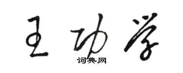 駱恆光王功學草書個性簽名怎么寫