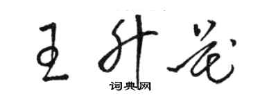 駱恆光王升花草書個性簽名怎么寫