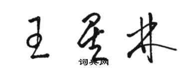 駱恆光王星林草書個性簽名怎么寫