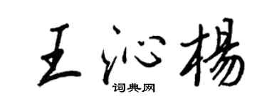 王正良王沁楊行書個性簽名怎么寫