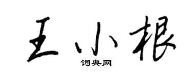 王正良王小根行書個性簽名怎么寫