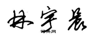 朱錫榮林宇晨草書個性簽名怎么寫