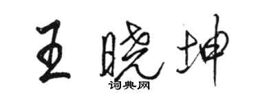 駱恆光王曉坤行書個性簽名怎么寫