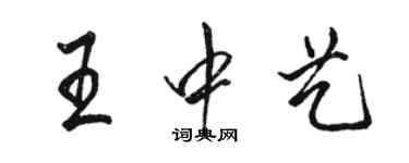 駱恆光王中藝行書個性簽名怎么寫