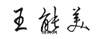 駱恆光王能美行書個性簽名怎么寫