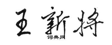 駱恆光王新將行書個性簽名怎么寫