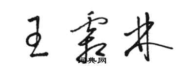 駱恆光王霜林草書個性簽名怎么寫