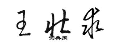 駱恆光王壯求草書個性簽名怎么寫