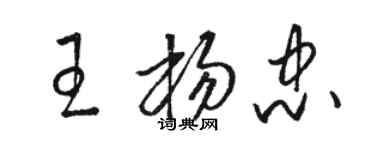 駱恆光王楊忠草書個性簽名怎么寫