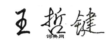 駱恆光王哲鍵行書個性簽名怎么寫