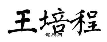 翁闓運王培程楷書個性簽名怎么寫