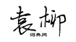 曾慶福袁柳行書個性簽名怎么寫