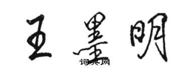 駱恆光王墨明行書個性簽名怎么寫