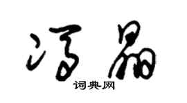 朱錫榮馮晶草書個性簽名怎么寫