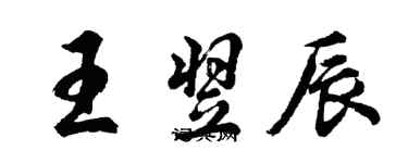 胡問遂王翌辰行書個性簽名怎么寫