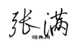 駱恆光張滿行書個性簽名怎么寫