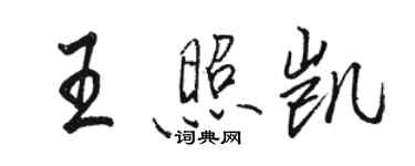 駱恆光王照凱行書個性簽名怎么寫