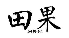 翁闓運田果楷書個性簽名怎么寫