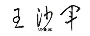 駱恆光王沙軍草書個性簽名怎么寫