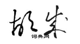 駱恆光胡成草書個性簽名怎么寫