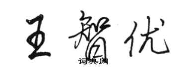 駱恆光王智優行書個性簽名怎么寫