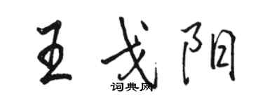 駱恆光王戈陽行書個性簽名怎么寫