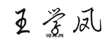 駱恆光王學鳳行書個性簽名怎么寫