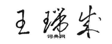 駱恆光王瑞成草書個性簽名怎么寫