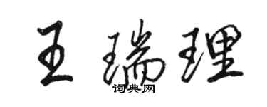 駱恆光王瑞理行書個性簽名怎么寫