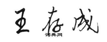 駱恆光王存成行書個性簽名怎么寫